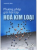 Phương Pháp Giải Bài Tập Hóa Kim Loại - anh 1