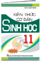 Kiến thức cơ bản Sinh học 11