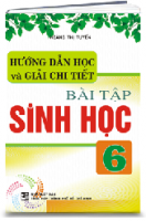 HƯỚNG DẪN HỌC VÀ GIẢI CHI TIẾT BÀI TẬP SINH HỌC 6